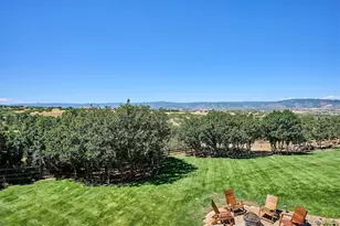 2464 W Wolfensberger Rd, Castle Rock, CO 80109 - Photo 48
