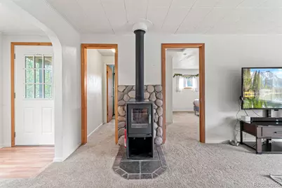 26274 Cornelius Street, Conifer, CO 80433 - Photo 18