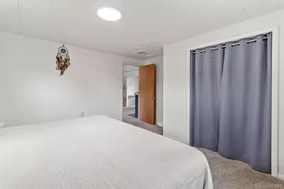 26274 Cornelius Street, Conifer, CO 80433 - Photo 20