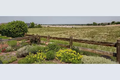 3897 Mallard Lane, Highlands Ranch, CO 80126 - Photo 36