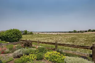 3897 Mallard Ln, Highlands Ranch, CO 80126 - Photo 36