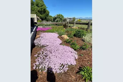 3897 Mallard Lane, Highlands Ranch, CO 80126 - Photo 42