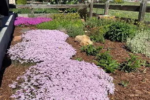 3897 Mallard Ln, Highlands Ranch, CO 80126 - Photo 42