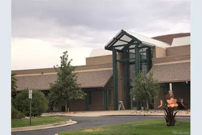 3897 Mallard Lane, Highlands Ranch, CO 80126 - Photo 48