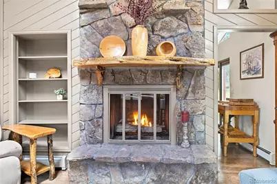 9228 Black Mountain Drive, Conifer, CO 80433 - Photo 10