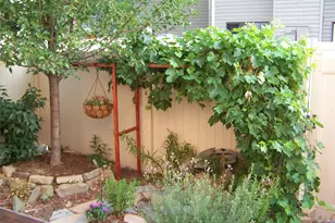 2029 Gyros Cir, Lafayette, CO 80026 - Photo 18