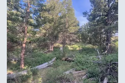 Lot 4630 Spring Road, Fort Garland, CO 81133 - Photo 16