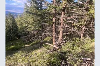 Lot 4630 Spring Road, Fort Garland, CO 81133 - Photo 14