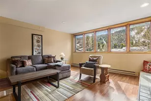 22864 US Hwy 6, Keystone, CO 80435 - Photo 8