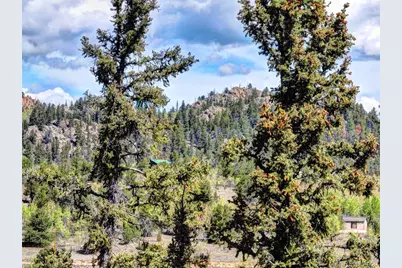 75 Swiggler Road, Jefferson, CO 80456 - Photo 20