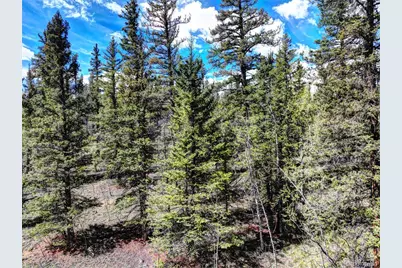 75 Swiggler Road, Jefferson, CO 80456 - Photo 6