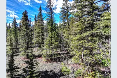 75 Swiggler Road, Jefferson, CO 80456 - Photo 12