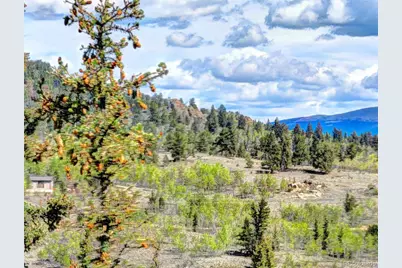 75 Swiggler Road, Jefferson, CO 80456 - Photo 36