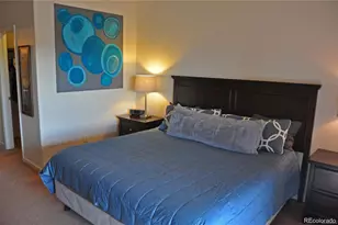 4465 Copeland Loop, Highlands Ranch, CO 80126 - Photo 16