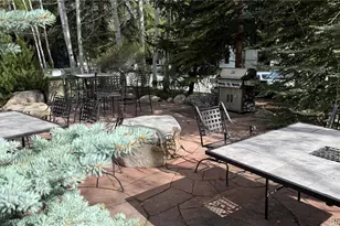 4650 Vail Racquet Club Dr, Vail, CO 81657 - Photo 38