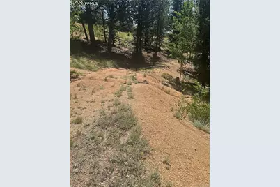 110 Brown Bear Lane, Cripple Creek, CO 80813 - Photo 6