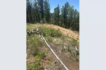 110 Brown Bear Lane, Cripple Creek, CO 80813 - Photo 4