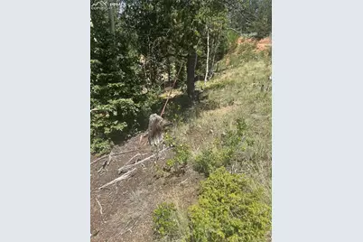 110 Brown Bear Lane, Cripple Creek, CO 80813 - Photo 2