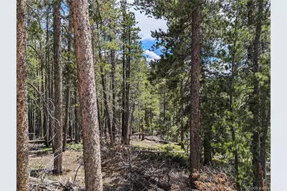 3159 Purnell Lane, Fort Garland, CO 81133 - Photo 2