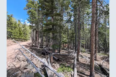 3159 Purnell Lane, Fort Garland, CO 81133 - Photo 4