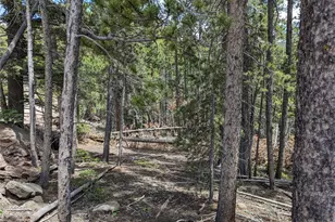 3159 Purnell Ln, Fort Garland, CO 81133 - Photo 1