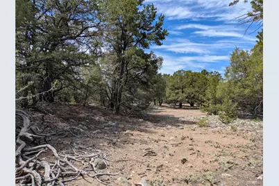 3825 Virtue Way, Crestone, CO 81131 - Photo 12