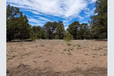 3825 Virtue Way, Crestone, CO 81131 - Photo 6