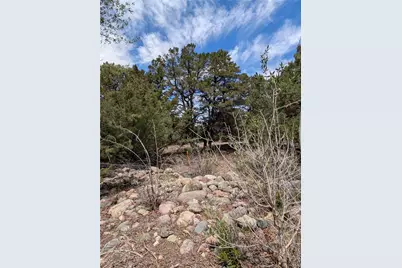 3825 Virtue Way, Crestone, CO 81131 - Photo 4