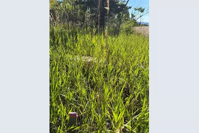 001 Peak View Drive, Black Hawk, CO 80422 - Photo 14