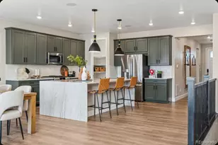 17236 W 92nd Loop, Arvada, CO 80007 - Photo 14