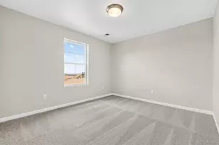 4334 Ridgewalk Pt, Castle Rock, CO 80108 - Photo 24