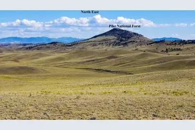 1245 Coochee Trail, Guffey, CO 80820 - Photo 16