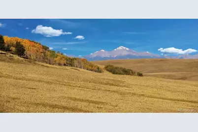1245 Coochee Trail, Guffey, CO 80820 - Photo 4