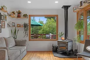 10 Rudi Ln W, Golden, CO 80403 - Photo 4