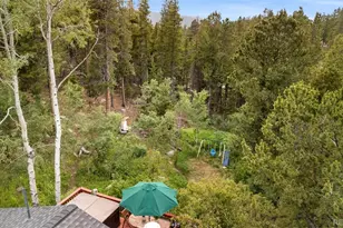 10 Rudi Ln W, Golden, CO 80403 - Photo 26