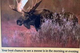 25 Aspen Dr, Walden, CO 80480 - Photo 40