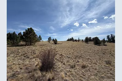 2839 Fitzsimmons Road, Hartsel, CO 80449 - Photo 4