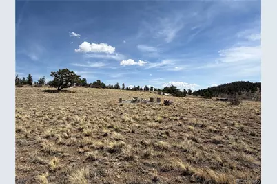 2839 Fitzsimmons Road, Hartsel, CO 80449 - Photo 22