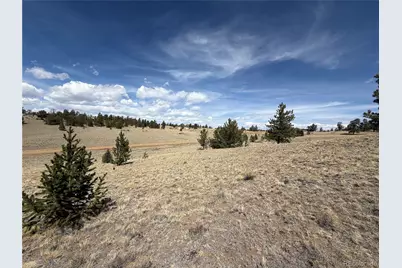 2839 Fitzsimmons Road, Hartsel, CO 80449 - Photo 12