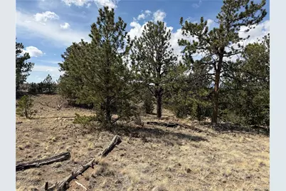 2839 Fitzsimmons Road, Hartsel, CO 80449 - Photo 14