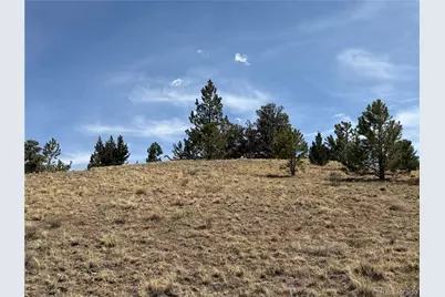 2839 Fitzsimmons Road, Hartsel, CO 80449 - Photo 10