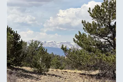 2839 Fitzsimmons Road, Hartsel, CO 80449 - Photo 20