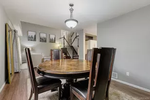 11120 Tamarron Dr, Parker, CO 80138 - Photo 10