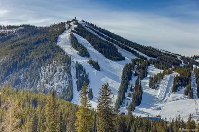 313 N Woods Place, Winter Park, CO 80482 - Photo 48