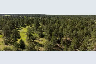 10276 Pine Song Place, Parker, CO 80138 - Photo 6