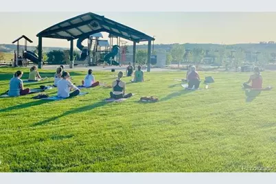 6241 Canterview Court, Castle Pines, CO 80108 - Photo 44