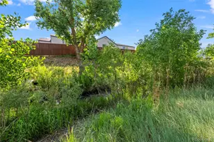 6741 S Ivy Way, Centennial, CO 80112 - Photo 22