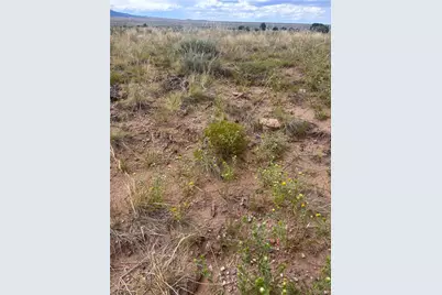 000 Lot 100 Colorado Land and Livestock Ranch, Walsenburg, CO 81069 - Photo 4