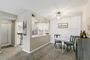 459 Wright St, Denver, CO 80228 - Photo 10