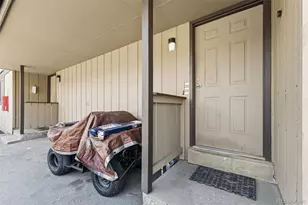 983 Straight Creek Dr, Dillon, CO 80435 - Photo 36